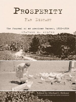cover image of Prosperity Far Distant
